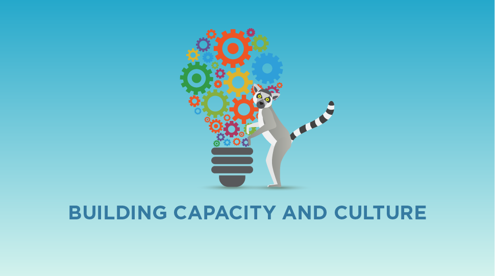 Building Culture and Creativity